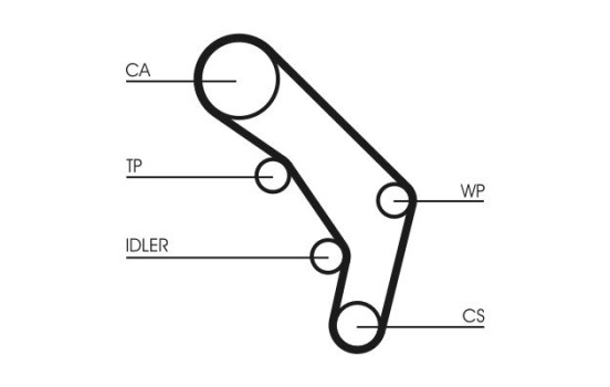 Correa de distribución CT755 Contitech, Imagen 3