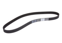Correa de distribución CT869 Contitech
