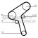 Correa de distribución CT897 Contitech