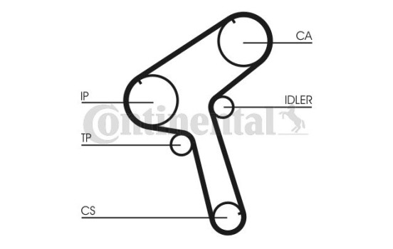 Correa de distribución CT917 Contitech, Imagen 2