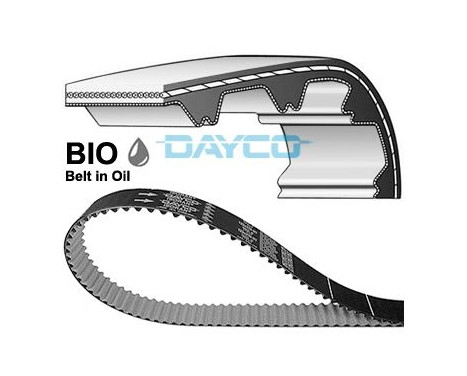 Correa dentada 941190 DAYCO