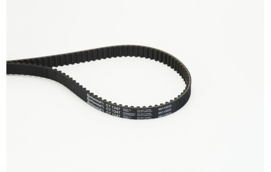 Correa dentada CT1247 Contitech, Imagen 3