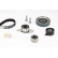 Juego de correas de distribución CT1026K2 Contitech, Miniatura 6