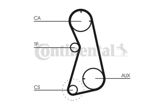 Juego de correas de distribución CT872K2 Contitech, Imagen 5