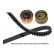 Juego de correas de distribución DKT-5531 Kavo parts