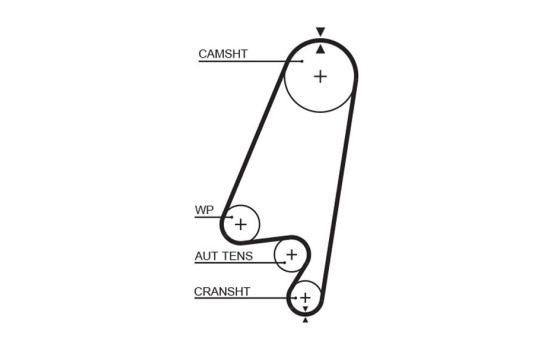 Juego de correas de distribución K015367XS Gates, Imagen 3