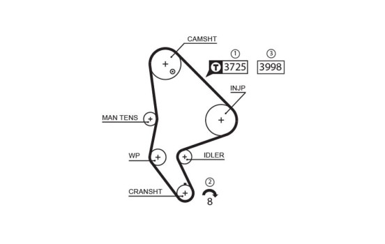 Juego de correas de distribución K015588XS Gates, Imagen 3