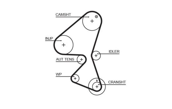 Juego de correas de distribución K025587XS Gates, Imagen 2