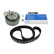 Juego de correas de distribución VKMA 01113 SKF