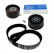 Juego de correas de distribución VKMA 06503 SKF
