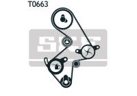 Juego de correas de distribución VKMA 91003 SKF