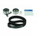 Juego de correas de distribución VKMA 94201 SKF