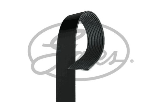Cinturón múltiple 11PK1545HD Gates