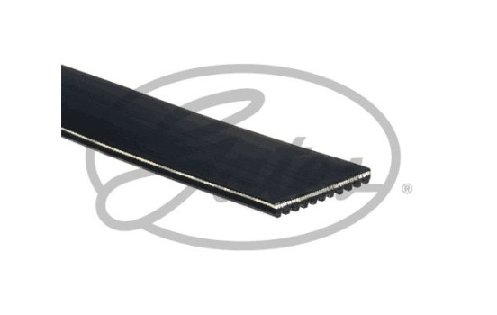 Cinturón múltiple 11PK1545HD Gates, Imagen 2