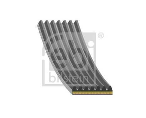 Cinturón múltiple 181285 FEBI