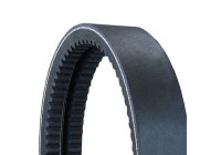 Cinturón múltiple 2/AVX13X1150 Contitech
