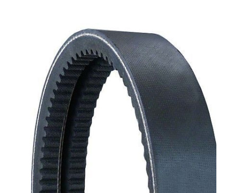 Cinturón múltiple 2/AVX13X1150 Contitech