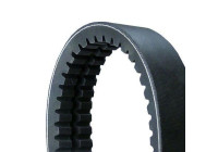 Cinturón múltiple 2/XPB2100 Contitech