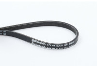 Cinturón múltiple 3PK576 ELAST Contitech