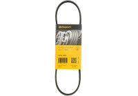Cinturón múltiple 3PK670 Contitech
