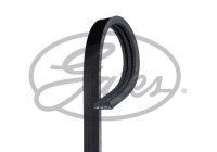 Cinturón múltiple 3PK690 Gates