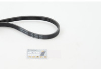 Cinturón múltiple 4PK1237 Contitech