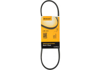 Cinturón múltiple 4PK673 Contitech