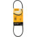 Cinturón múltiple 4PK673 Contitech