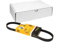 Cinturón múltiple 4PK698 Contitech