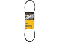 Cinturón múltiple 4PK780 Contitech