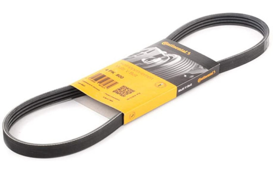 Cinturón múltiple 4PK800 Contitech