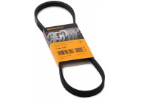Cinturón múltiple 4PK820 Contitech