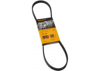 Cinturón múltiple 4PK885 Contitech