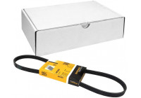 Cinturón múltiple 4PK900 Contitech