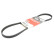 Cinturón múltiple 4PK913 Gates