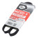 Cinturón múltiple 4PK922SF Gates