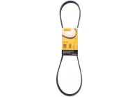 Cinturón múltiple 5PK1145 Contitech