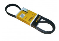 Cinturón múltiple 5PK1212 Contitech