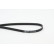 Cinturón múltiple 5PK1212 Contitech, Miniatura 2