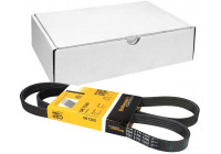 Cinturón múltiple 5PK1300 Contitech