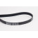 Cinturón múltiple 5PK1300 Contitech, Miniatura 2