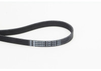 Cinturón múltiple 5PK1310 Contitech