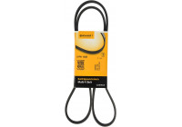 Cinturón múltiple 5PK1355 Contitech