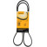 Cinturón múltiple 5PK1355 Contitech