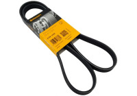Cinturón múltiple 5PK1432 Contitech