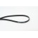 Cinturón múltiple 5PK1750 Contitech, Miniatura 2
