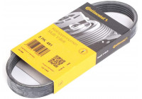 Cinturón múltiple 5PK491 Contitech