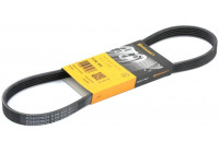 Cinturón múltiple 5PK813 Contitech