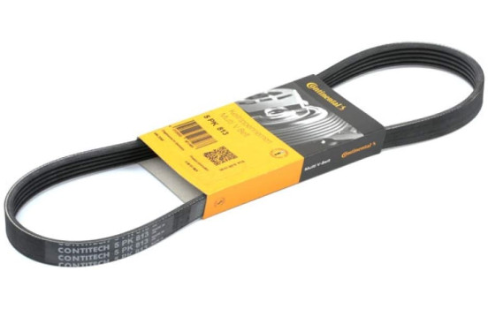 Cinturón múltiple 5PK813 Contitech