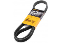 Cinturón múltiple 6DPK1215 Contitech